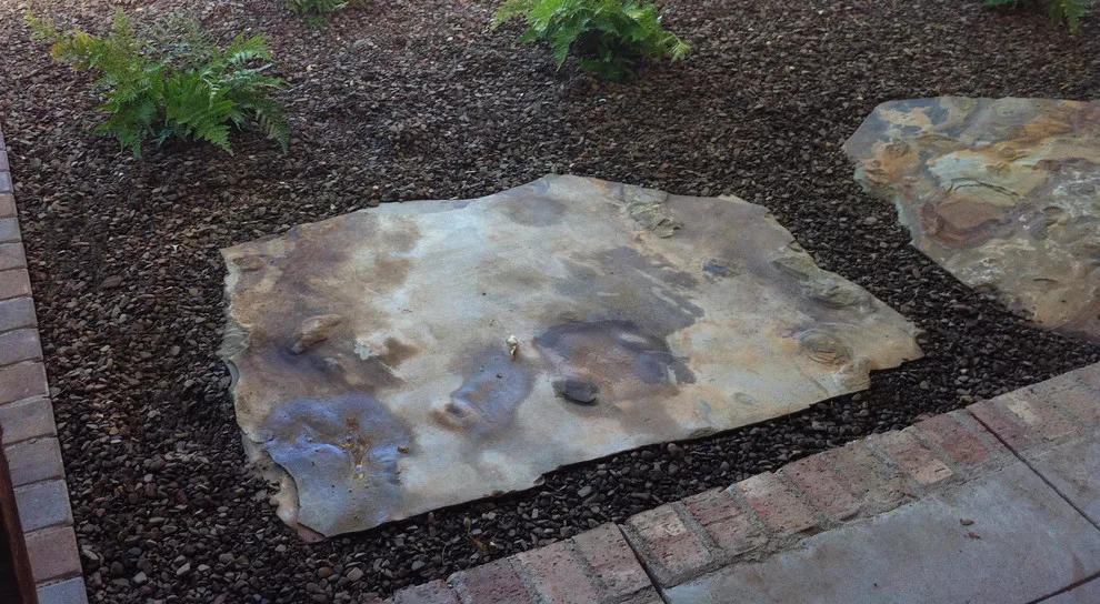 Springdale Home One by Professional Landscaping Company - Photo 6