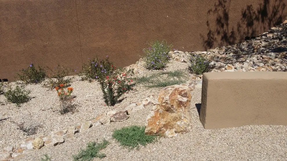Suzanne by ALA, Artistic Landscape Architecture - Photo 4