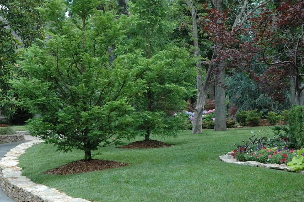 Tulsa Utica Square Property 1 by Kingdom Landscape - Photo 15