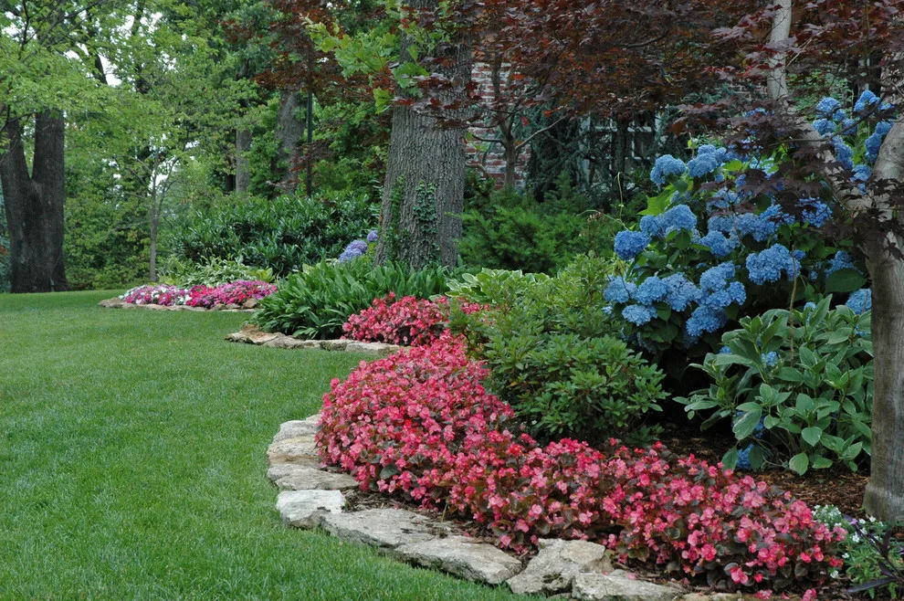 Kingdom Landscape - Photo 2