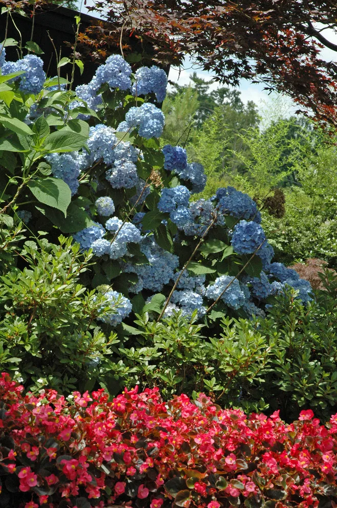 Kingdom Landscape - Photo 7