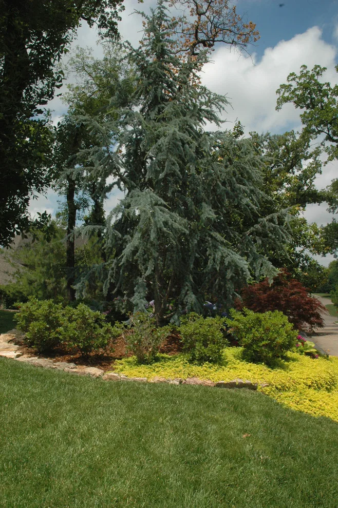 Tulsa Utica Square Property 1 by Kingdom Landscape - Photo 8