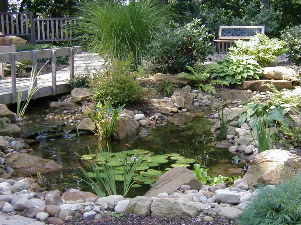 Aqua Elements by Blue Fox Landscape Design Inc - Photo 11