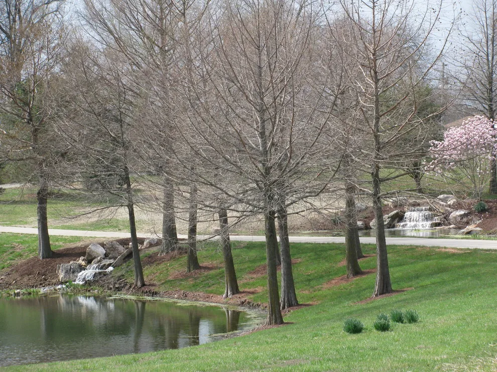 Aquatic Features by Rost, Inc. - Photo 17