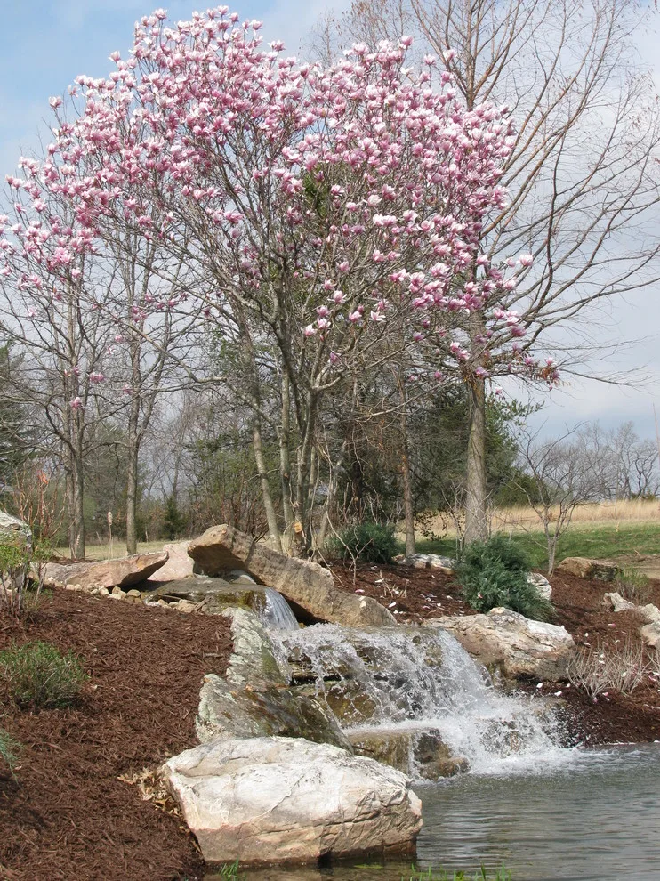 Aquatic Features by Rost, Inc. - Photo 14