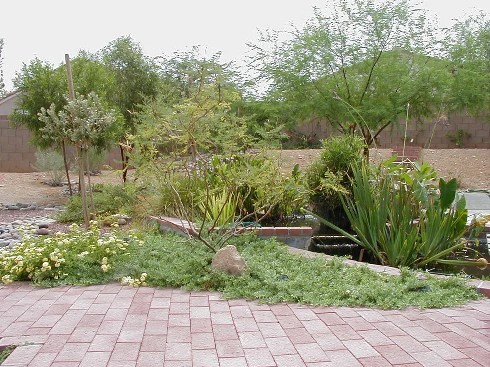 Forest Home by ALA, Artistic Landscape Architecture - Photo 3