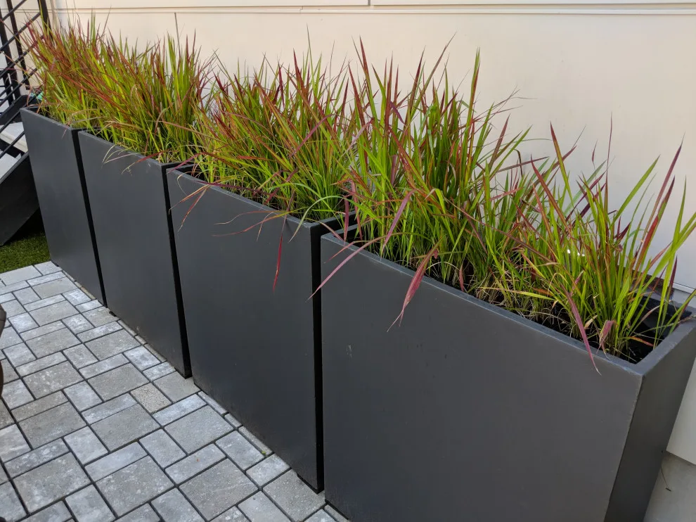 Seattle Dense Greenery by London Design Build - Photo 3