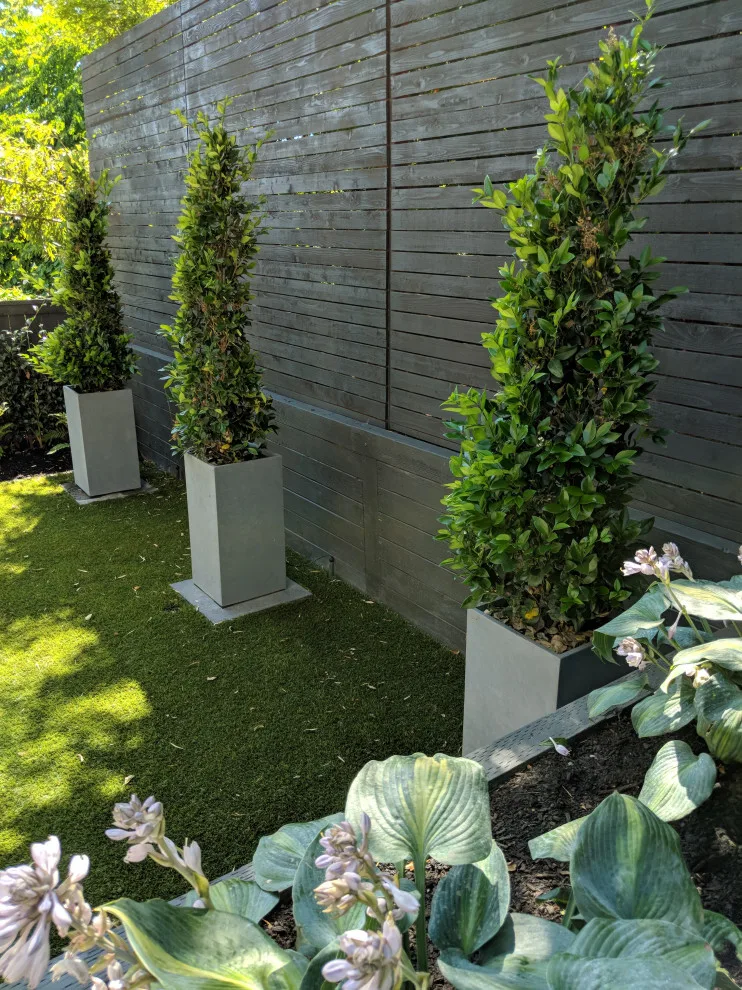 Seattle Dense Greenery by London Design Build - Photo 6