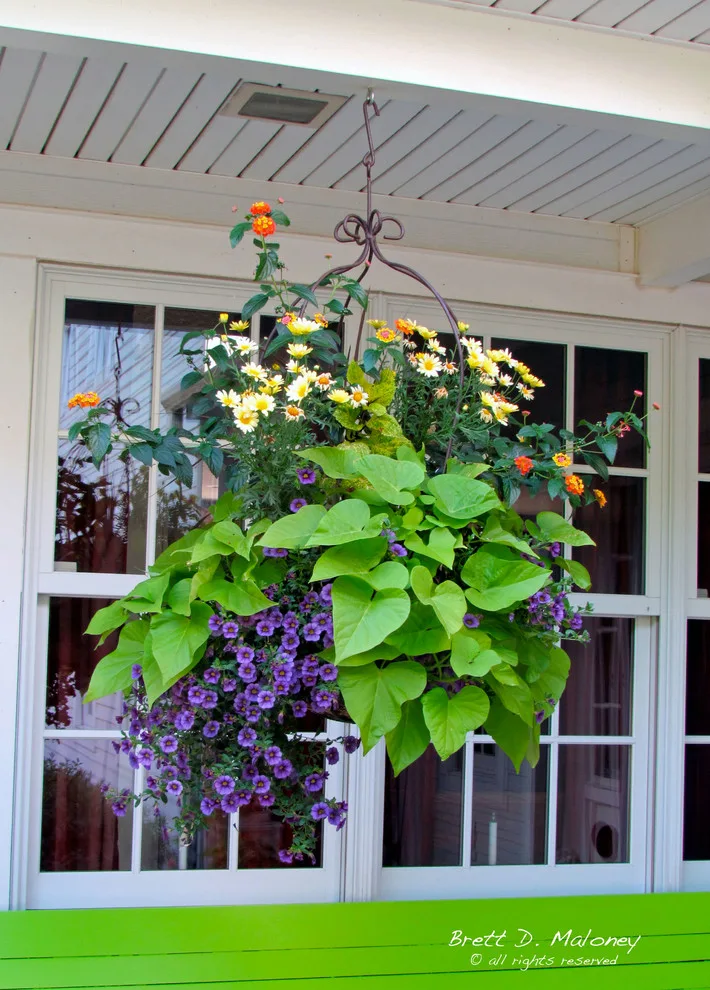 Two Hundred Year Old Farmhouse Restoration by Brett Maloney Landscapes, LLC - Photo 9
