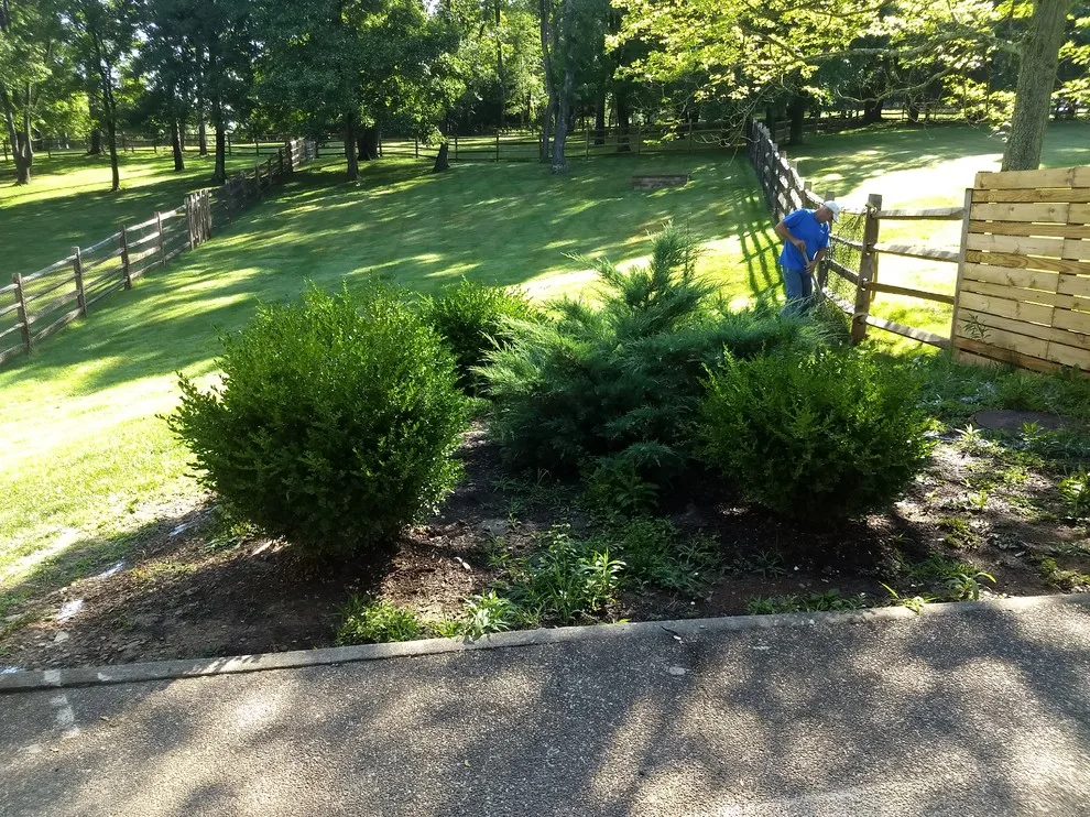 Exterior Garden, Pathway, Deck, and Water Feature by Blue Fox Landscape Design Inc - Photo 6