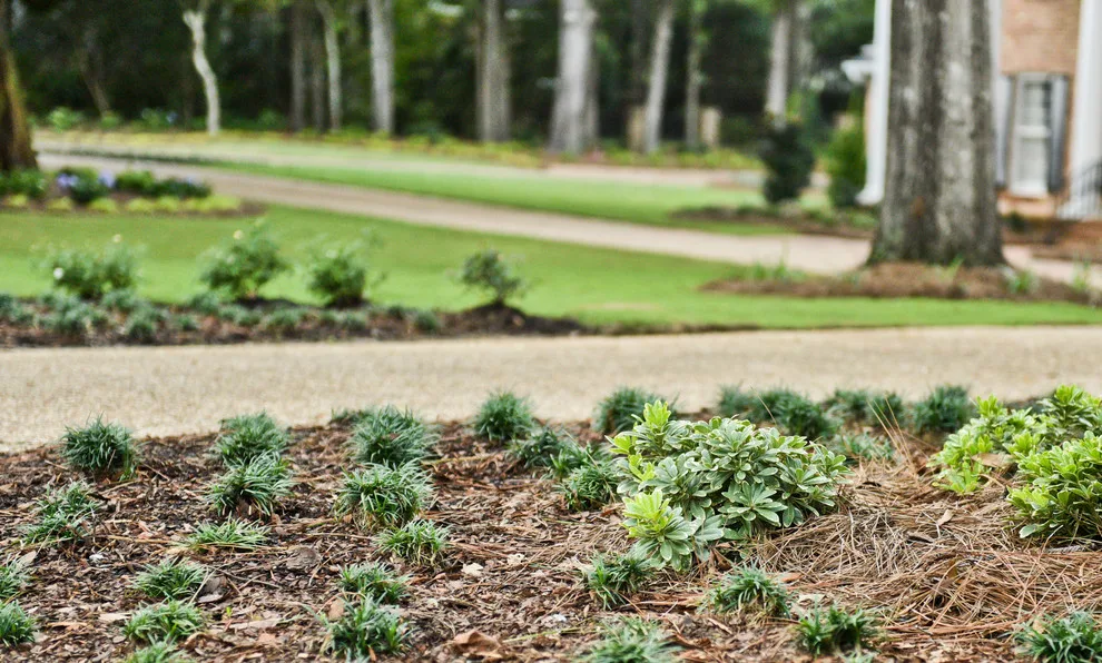 5808 Fairfax Road North by Bay Landscaping, Inc. - Photo 15