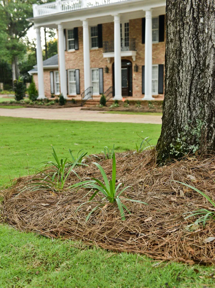 Bay Landscaping, Inc. - Photo 14