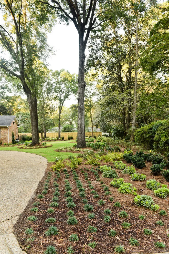 Bay Landscaping, Inc. - Photo 2