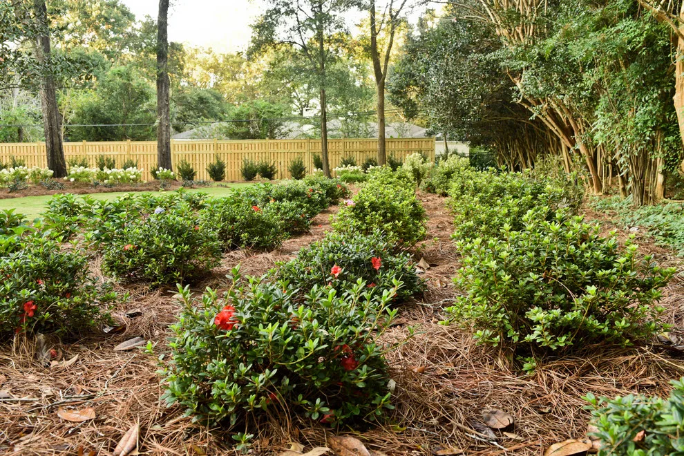 5808 Fairfax Road North by Bay Landscaping, Inc. - Photo 5