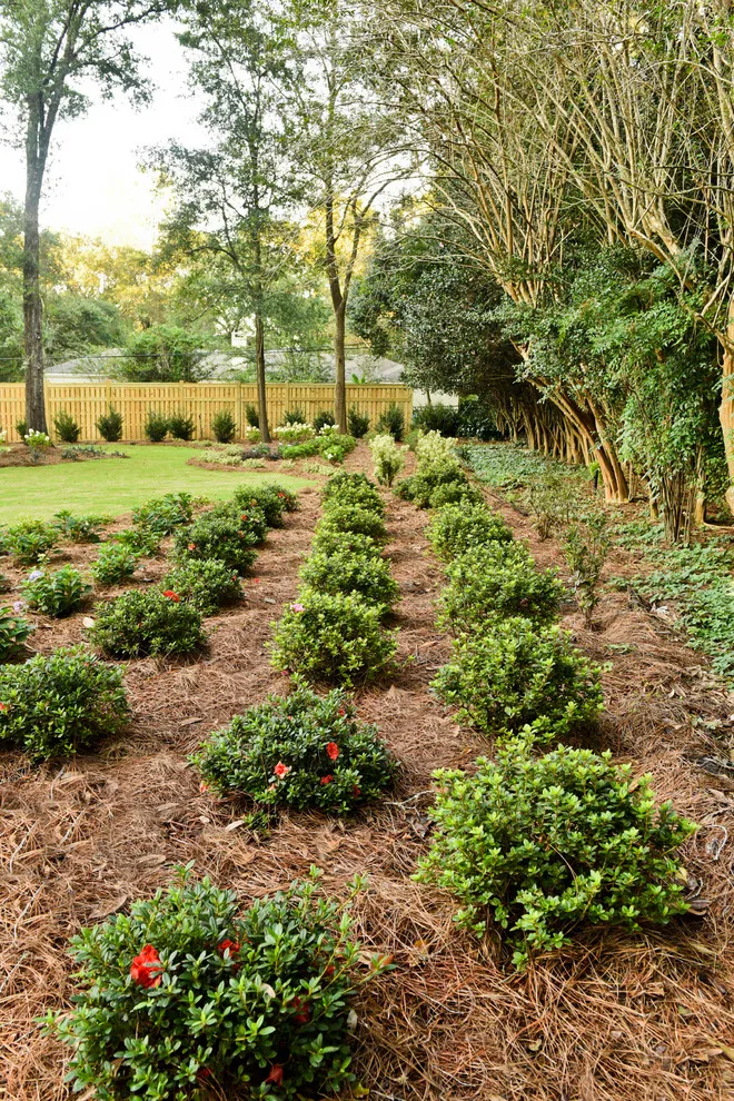 5808 Fairfax Road North by Bay Landscaping, Inc. - Photo 3