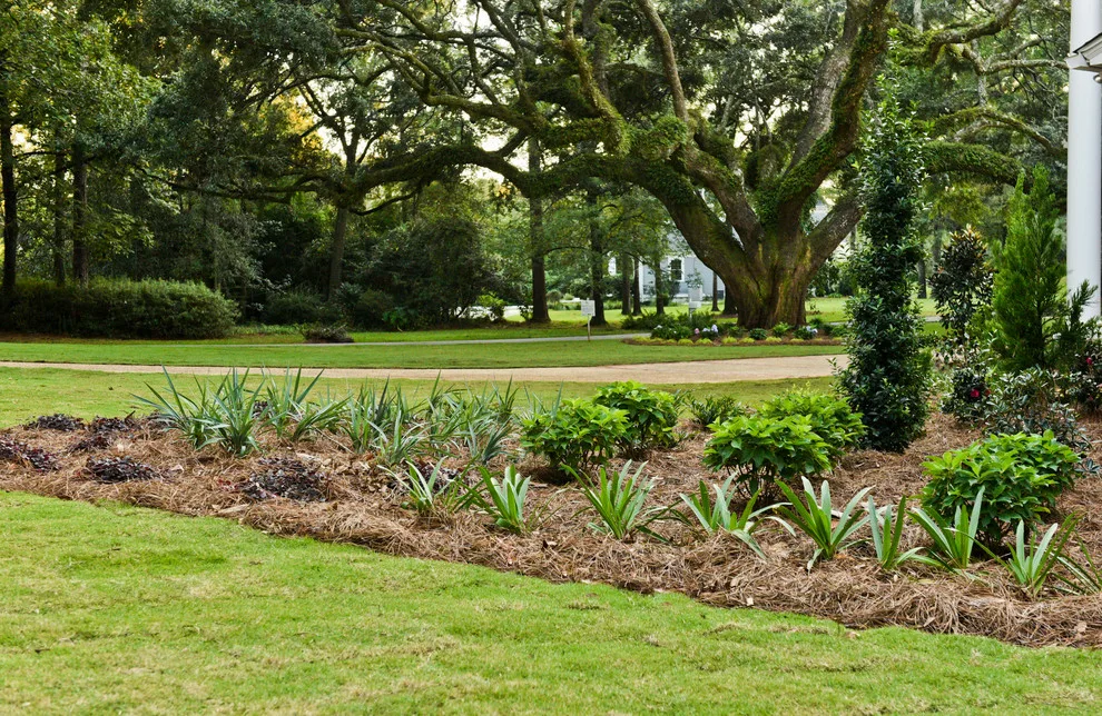5808 Fairfax Road North by Bay Landscaping, Inc. - Photo 39