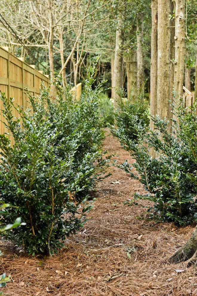 5808 Fairfax Road North by Bay Landscaping, Inc. - Photo 14