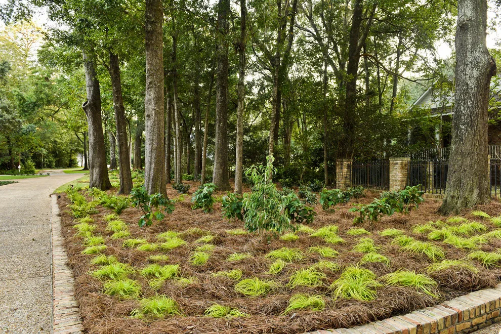 5808 Fairfax Road North by Bay Landscaping, Inc. - Photo 33