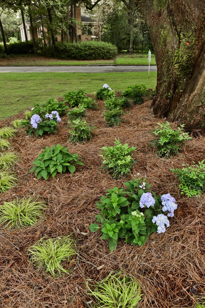 5808 Fairfax Road North by Bay Landscaping, Inc. - Photo 43