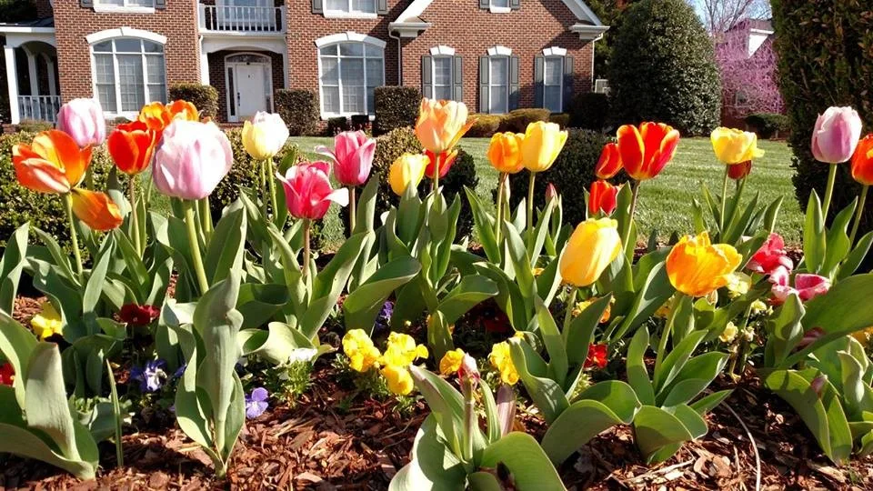 Several Initiatives by Howard Landscape Group - Photo 5
