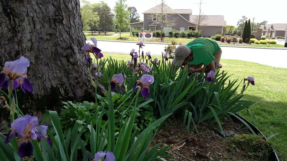 Several Initiatives by Howard Landscape Group - Photo 6