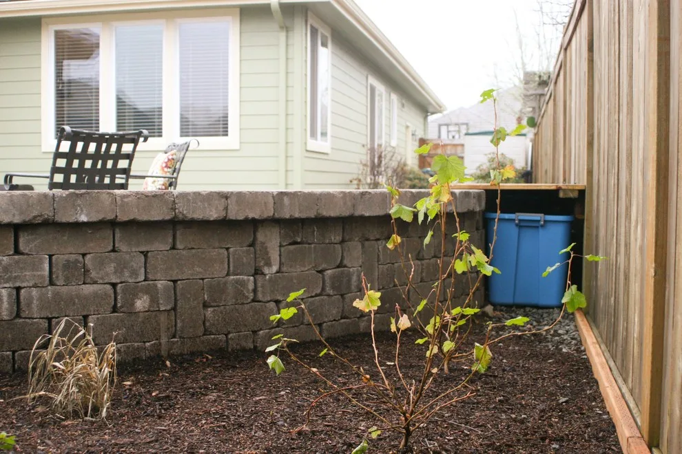 Springfield Recreation Zone by Graham Landscape And Design - Photo 13