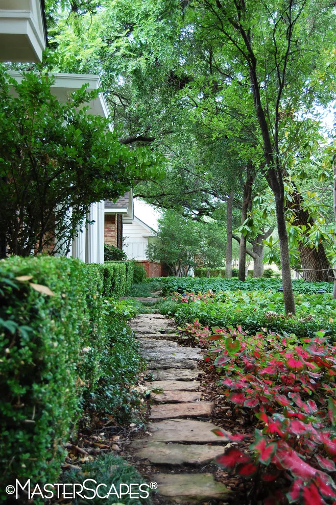 MasterScapes - Photo 6