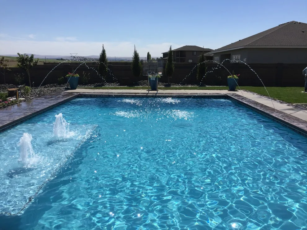 Albin Swimming Pool by Premier Landscaping & Design, Inc. / Premier Pools - Photo 4