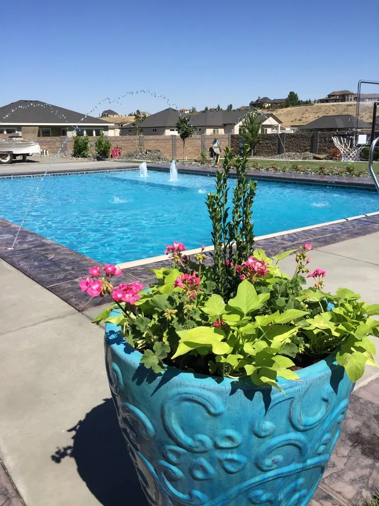 Albin Swimming Pool by Premier Landscaping & Design, Inc. / Premier Pools - Photo 3