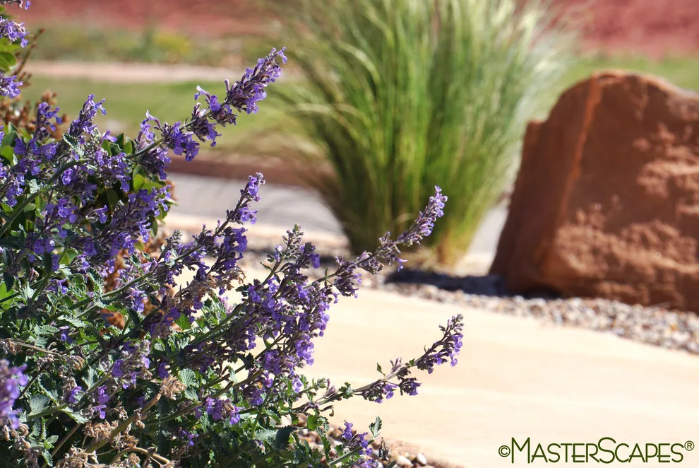 Outdoor Space with Pergola and Drought-Resistant Flowerbeds by MasterScapes - Photo 5