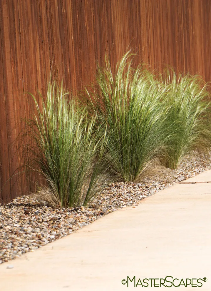 Outdoor Space with Pergola and Drought-Resistant Flowerbeds by MasterScapes - Photo 6