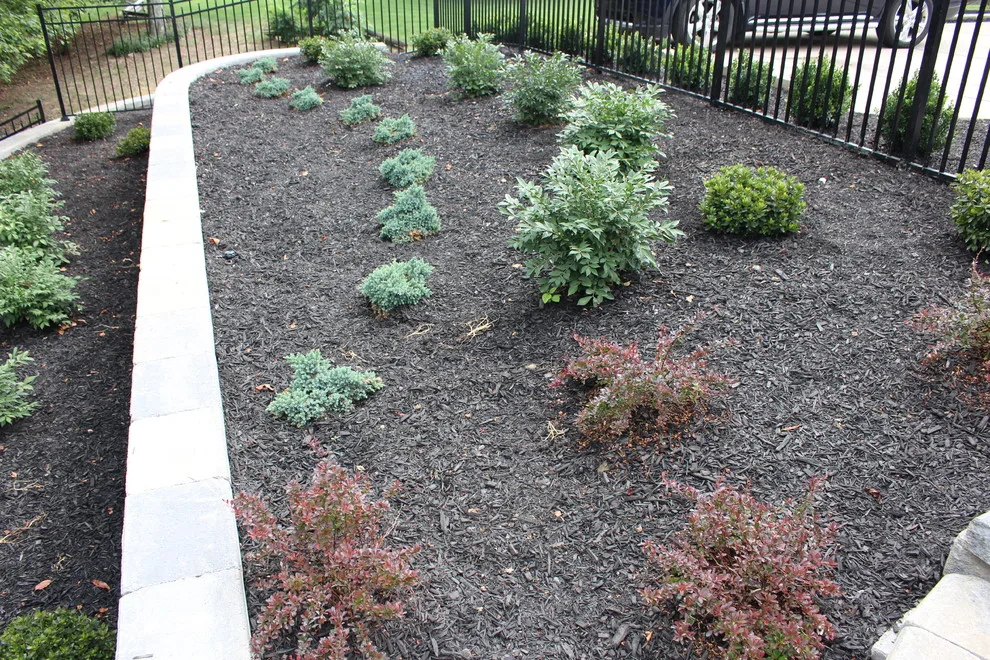 Backyard Splendor #1 by Wichman Landscape & Construction - Photo 2