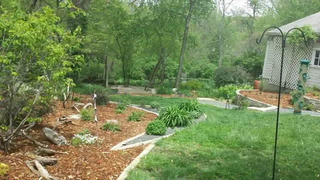 Plant Life Designs - Photo 5