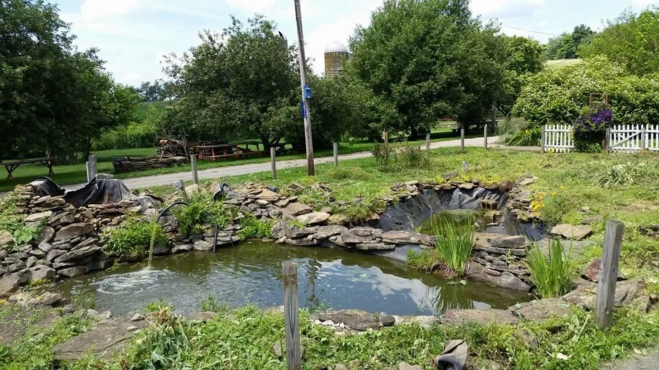 Aquatic Edge Pond & Landscape Solutions - Photo 8