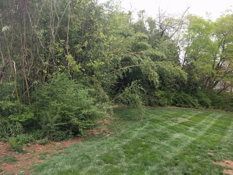 Bullington Land Management Corp. - Photo 5