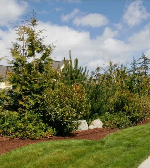 Landscape and Property Care by ProScapes - Photo 18