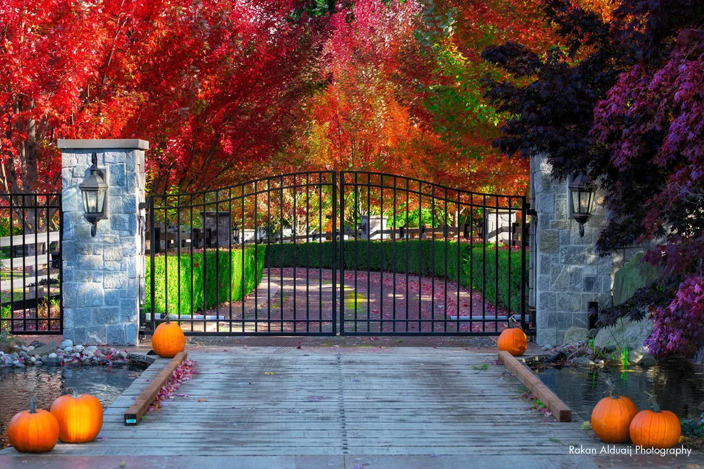 ProScapes Fence and Railing Series by ProScapes - Photo 5