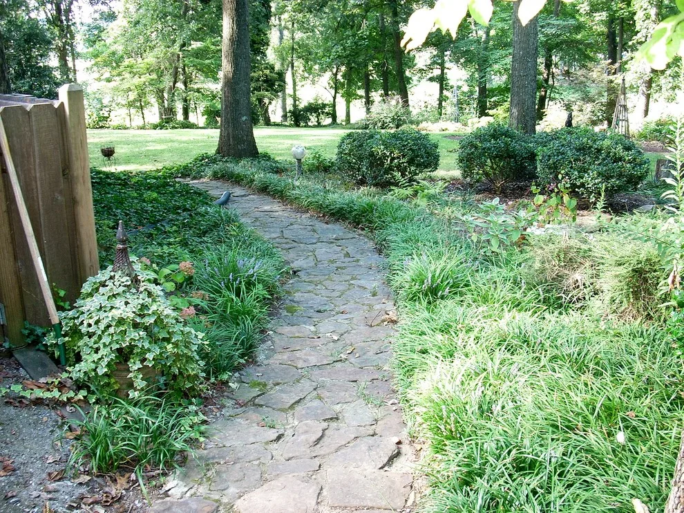 Transformation Images by Pinnacle Land Managment, Inc. - Photo 19