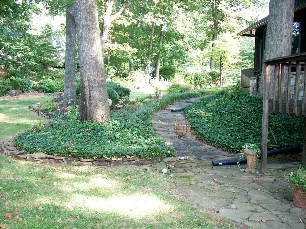 Pinnacle Land Managment, Inc. - Photo 12