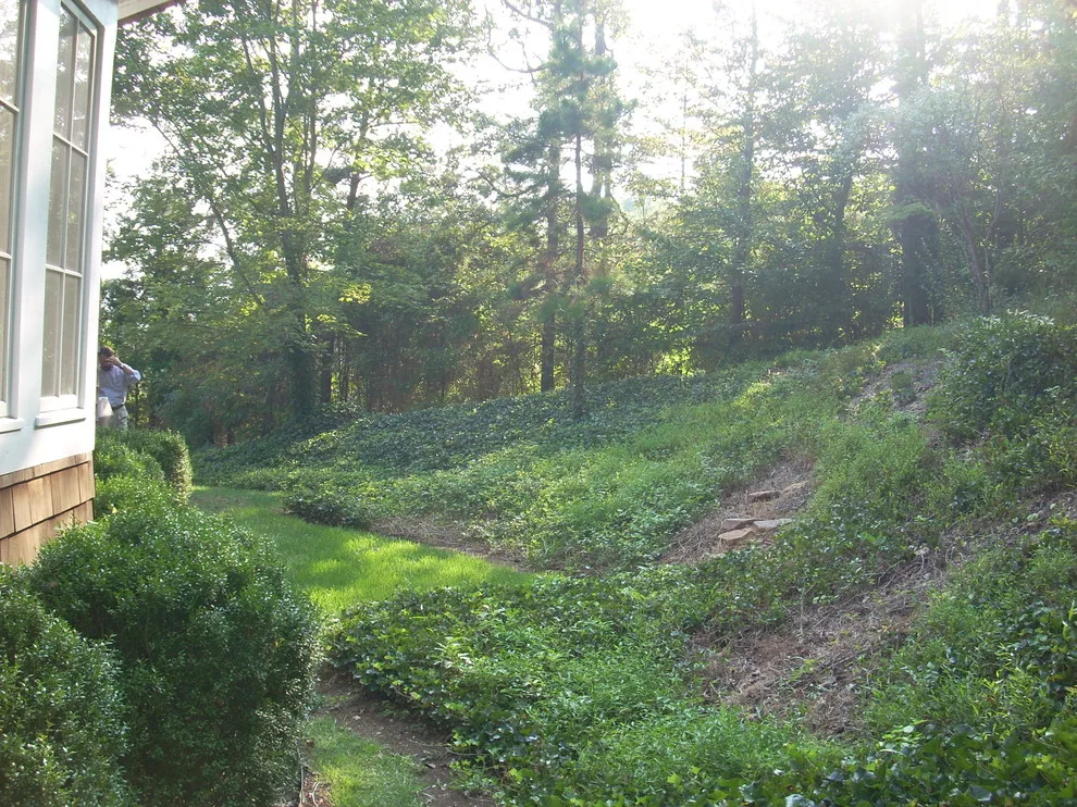 Transformation Images by Pinnacle Land Managment, Inc. - Photo 2