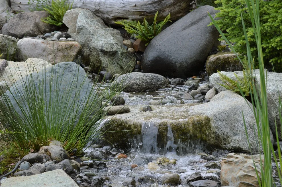 Large Lake Washington Project by Choice Landscapes LLC - Photo 19