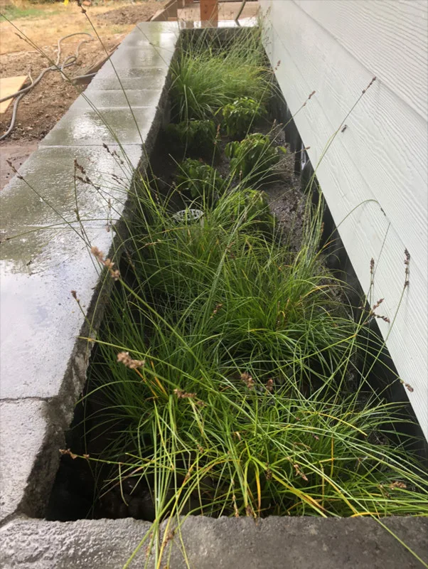 LandArc Landscaping & Design - Photo 9