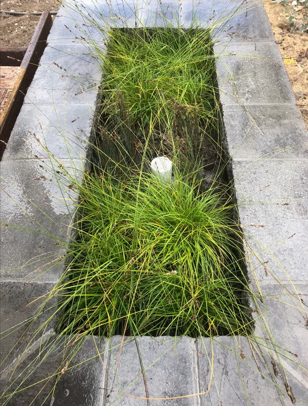 Stormwater Management Features by LandArc Landscaping & Design - Photo 5