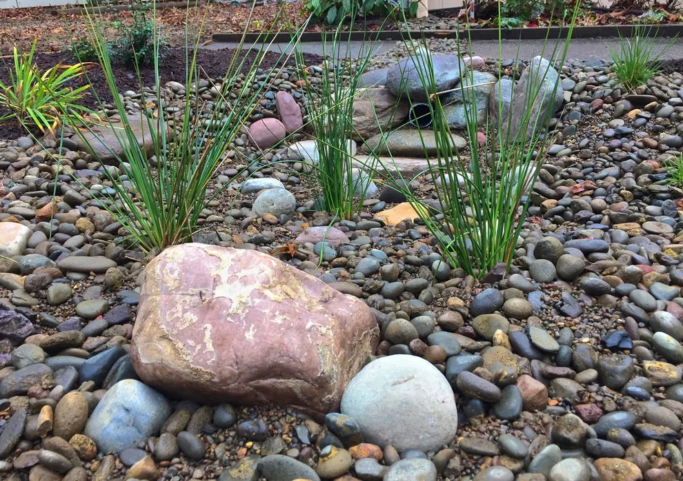 Stormwater Management Features by LandArc Landscaping & Design - Photo 10