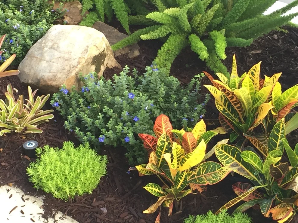 Blackwell Setup by Photoscape Landscape And Design - Photo 13