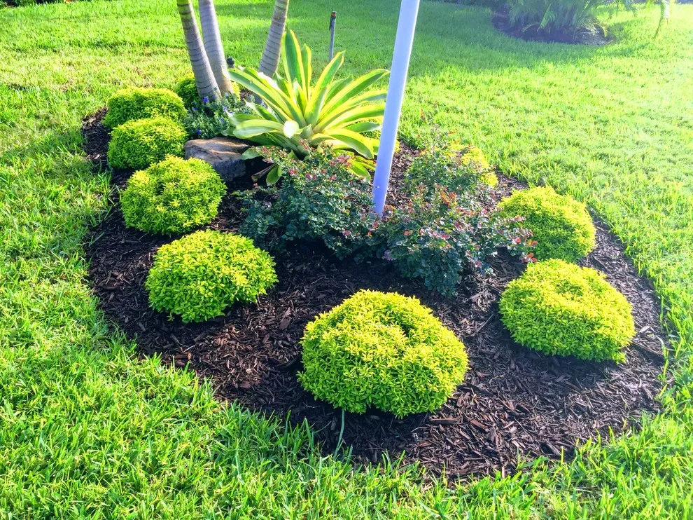 Blackwell Setup by Photoscape Landscape And Design - Photo 24