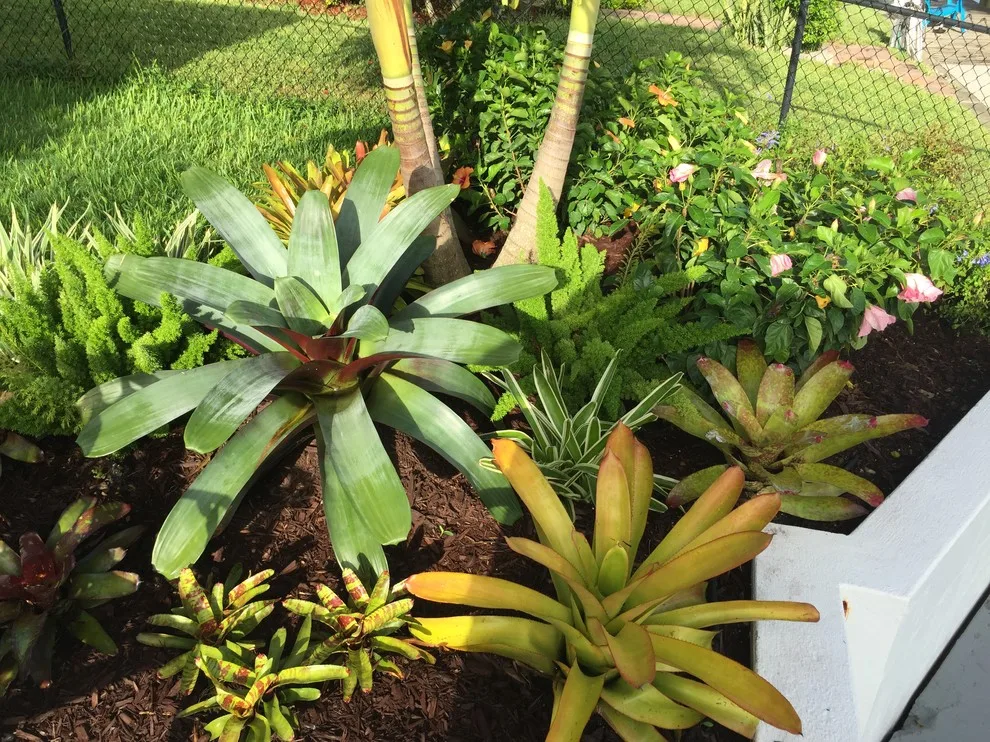 Blackwell Setup by Photoscape Landscape And Design - Photo 7