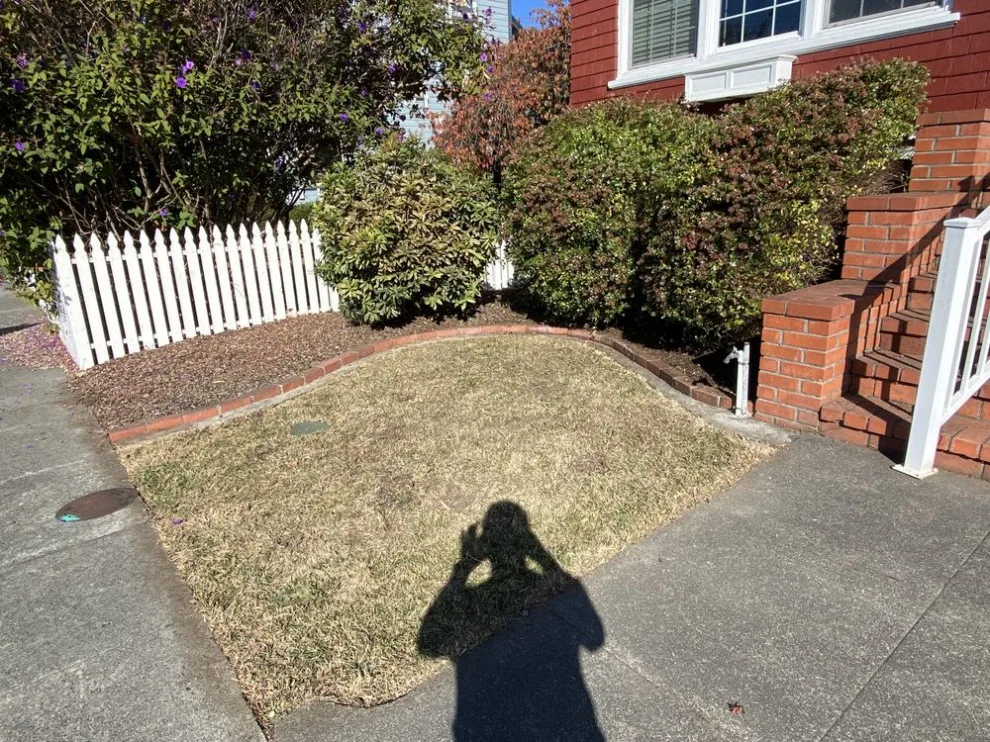 Flourish Landscaping and Home Maintenance Service by Blossom Landscaping & Handyman Service - Photo 2