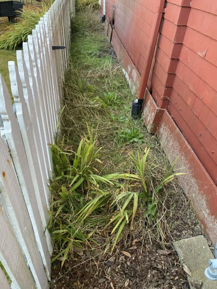 Flourish Landscaping and Home Maintenance Service by Blossom Landscaping & Handyman Service - Photo 8