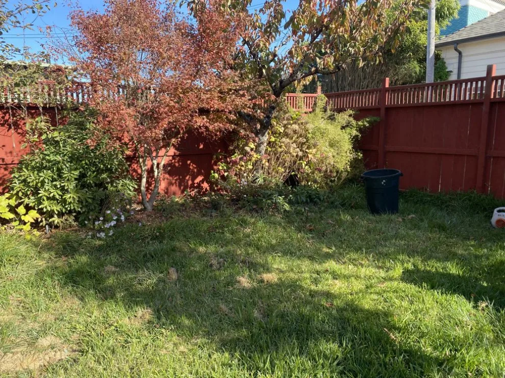 Flourish Landscaping and Home Maintenance Service by Blossom Landscaping & Handyman Service - Photo 7
